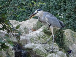 Tiergarten Schönbrunn am 03.10.2025